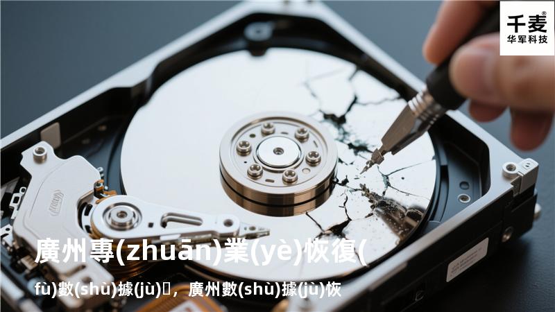 廣州專(zhuān)業(yè)恢復(fù)數(shù)據(jù)，廣州數(shù)據(jù)恢復(fù)地址